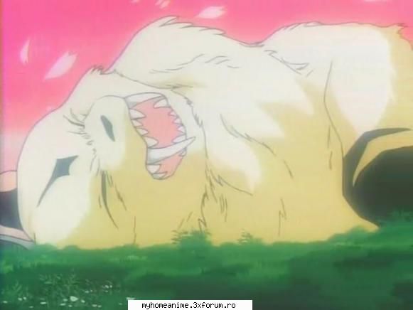 Kirara - Jigoku-Shoujo - ~Inuyasha~